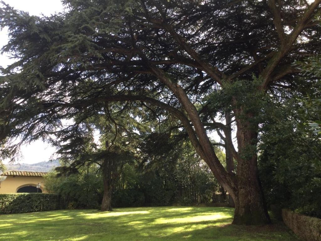 Villa Il Padule Bagno a Ripoli Buitenkant foto